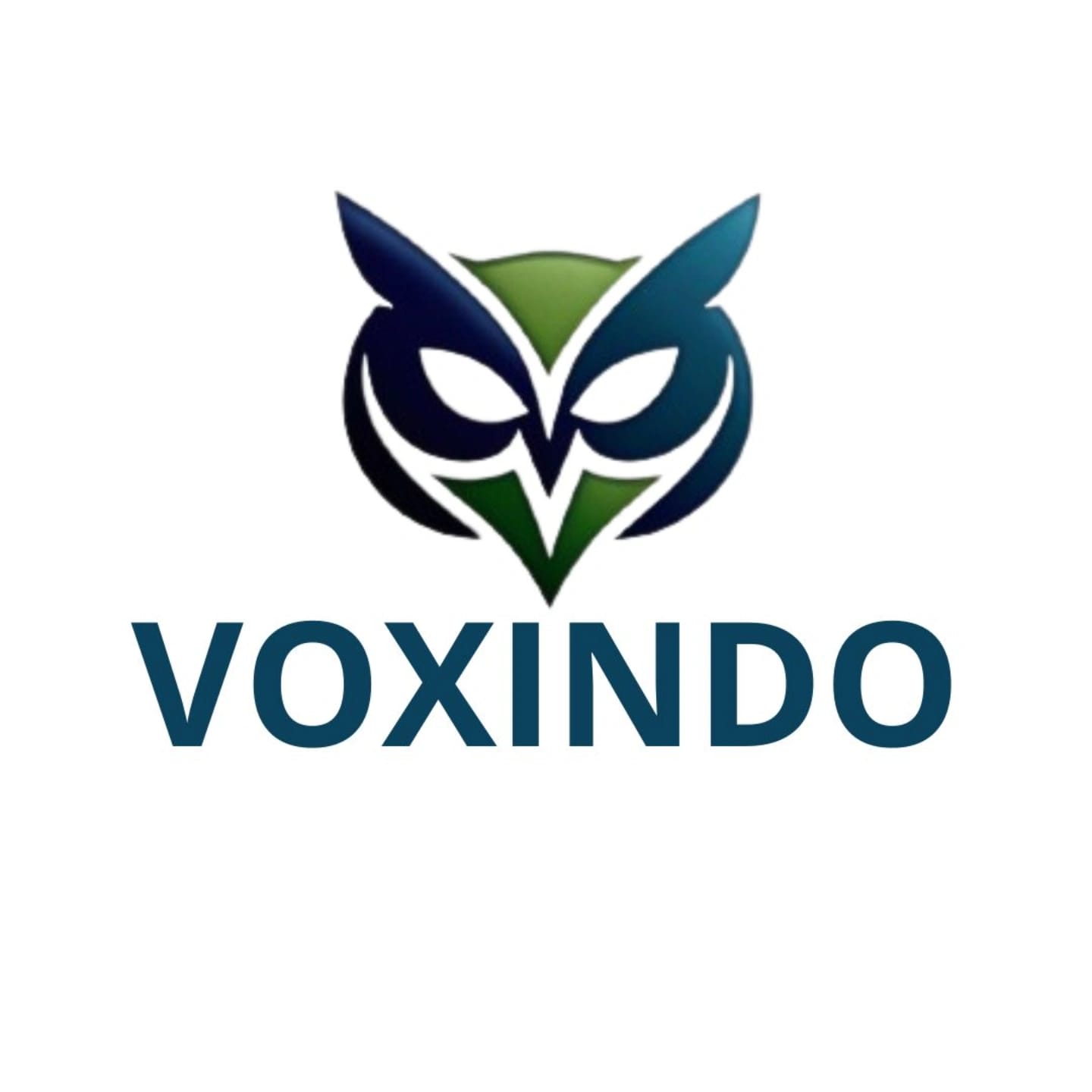 Voxindo logo